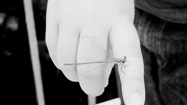 mana care coase cu atenție